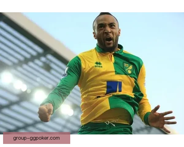 诺维奇U21大胜西布朗维奇U21 四比一完美逆袭取胜